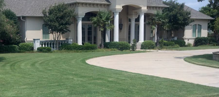 Establish a thick, green turf with our Tier 1 plan.