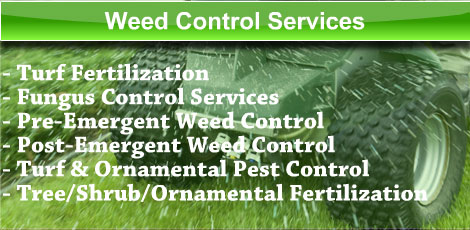 WeedControl-LandingButtonLeader